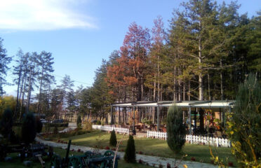 Restaurant Shkugeza Premium