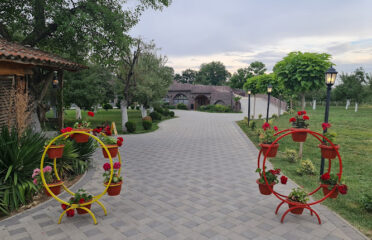 Village Restaurant & Fauna