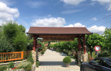 Restaurant Bifurkacioni