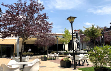 Restorant Shaqa